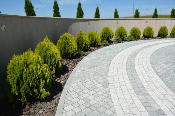 Best Custom Driveway Pavers  in Newnan, GA